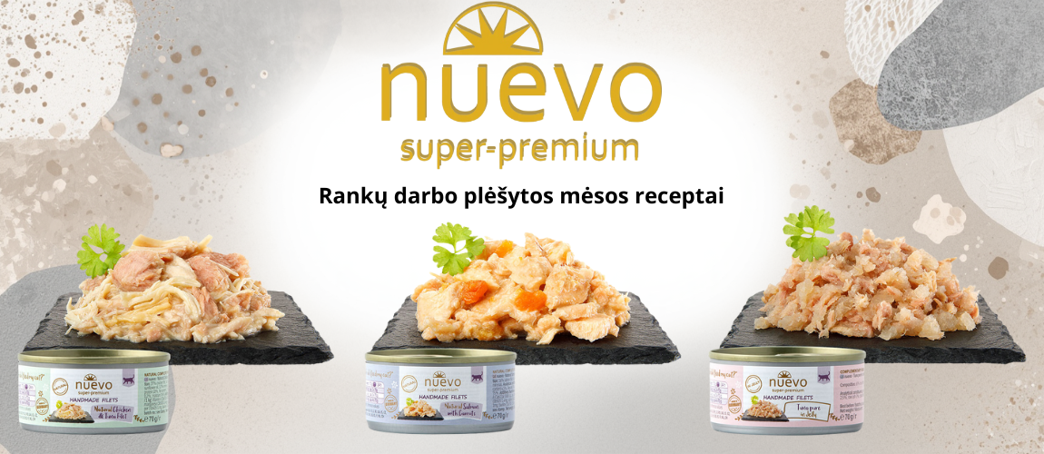 Ieskai gerų paiūlymų?